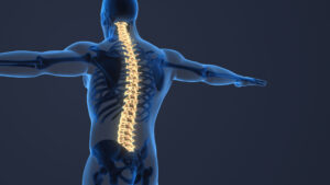 spinal alignment